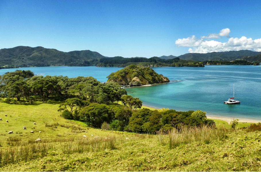 Segeln in der Bay of Islands (19)