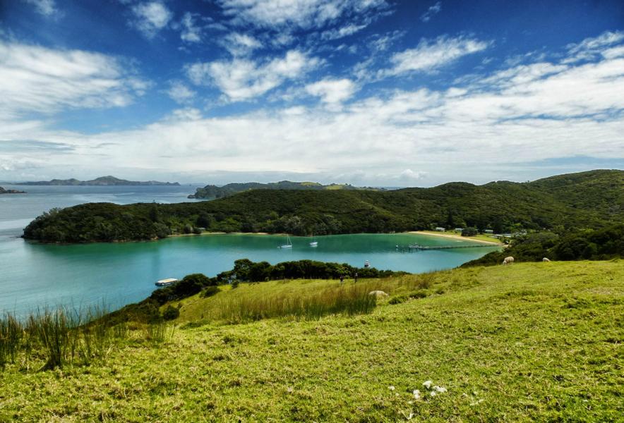Segeln in der Bay of Islands (20)