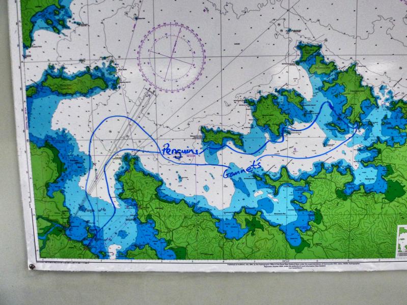 Segeln in der Bay of Islands (33)