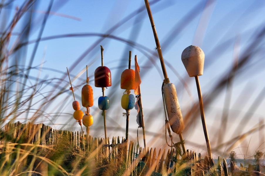 Die schönsten Ausflugsziele in Holland - Zandvoort