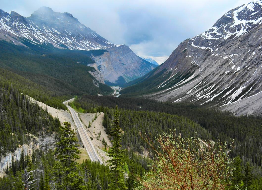 Westkanada Highlights in 2 Wochen - Icefields Parkway
