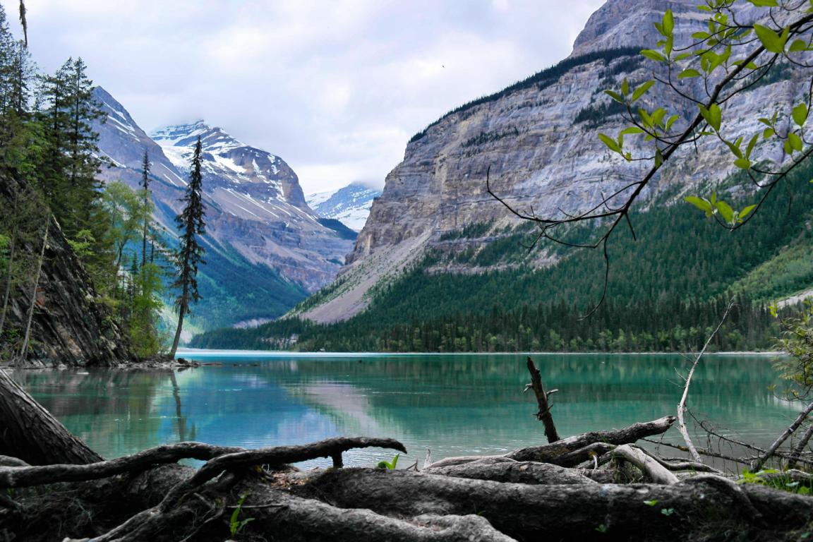 Westkanada Highlights in 2 Wochen - Kinney Lake