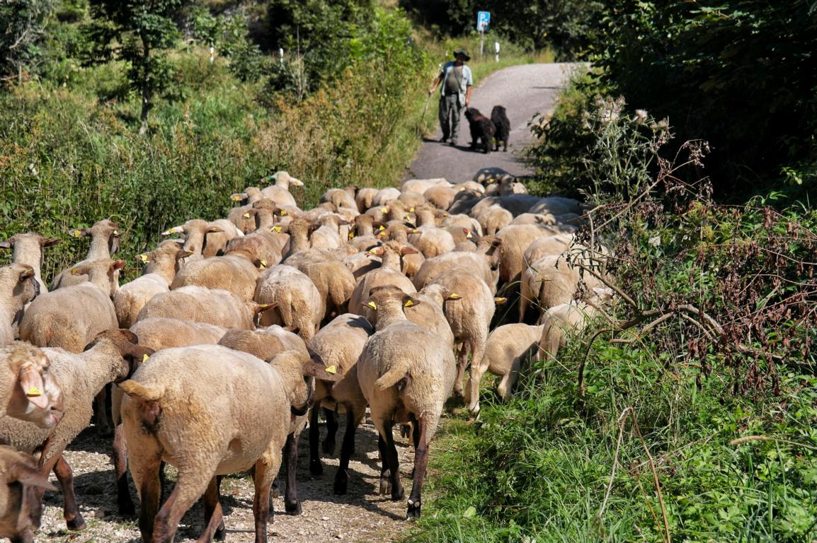 Das Lautertal Der perfekte Tagesausflug auf die Schwäbische Alb (16)