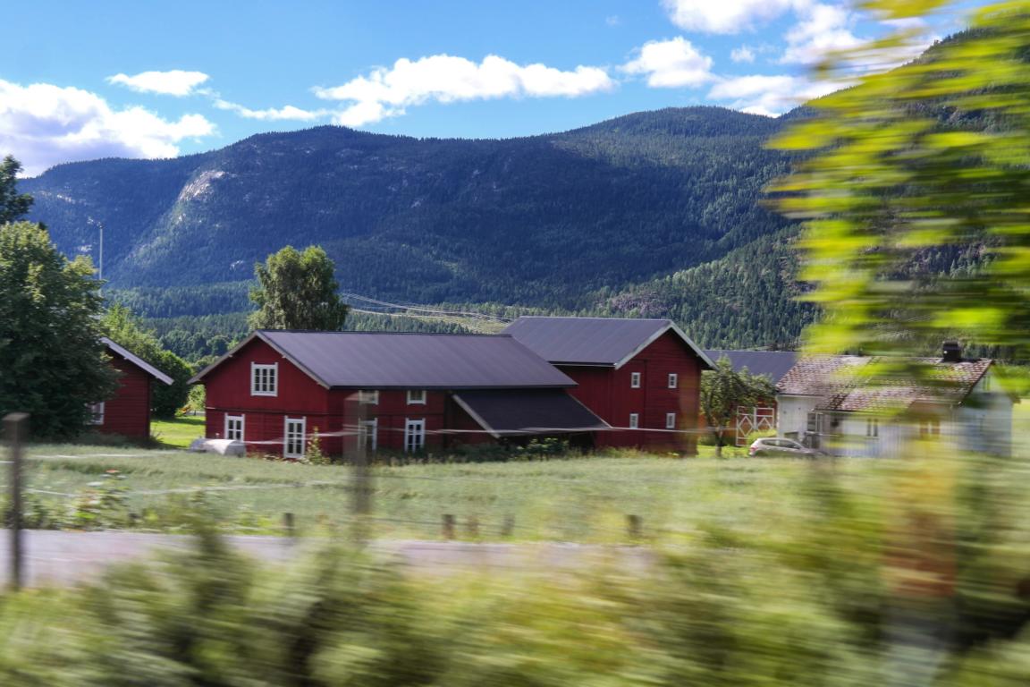 Norwegen-Kurztrip in 5 Tagen