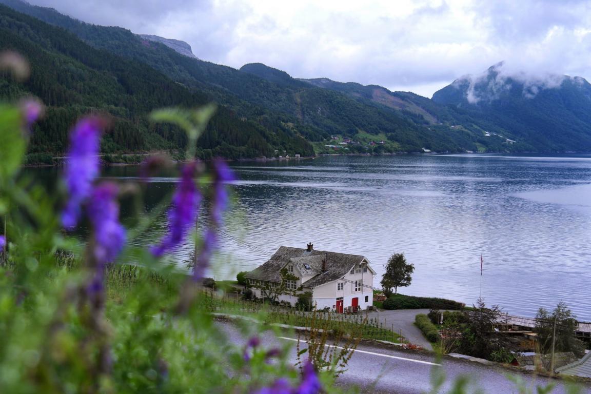 Norwegen-Kurztrip in 5 Tagen - Hardangerfjord