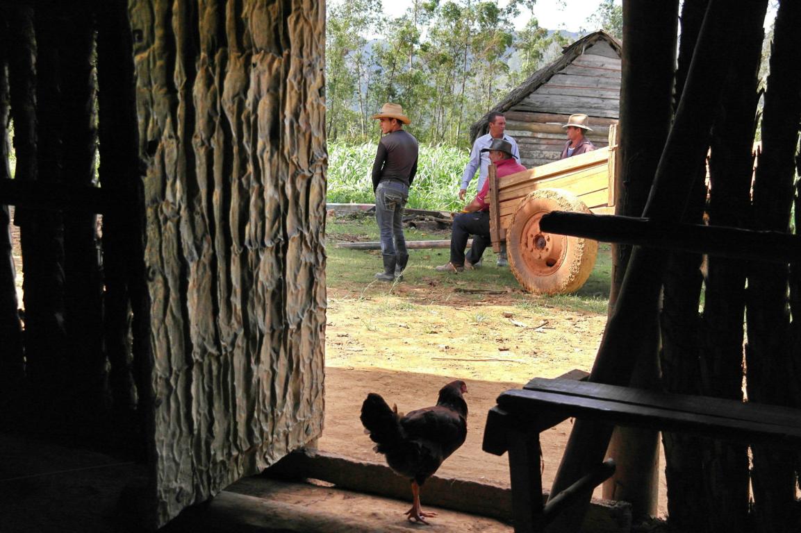 reisevorbereitung-kuba-kubanische-cowboys