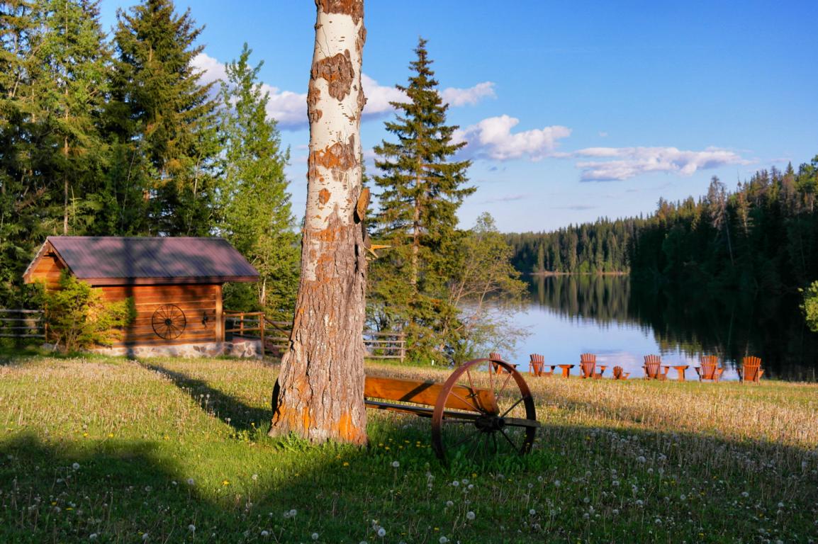 Ranchurlaub in Kanadas Cowboy Country