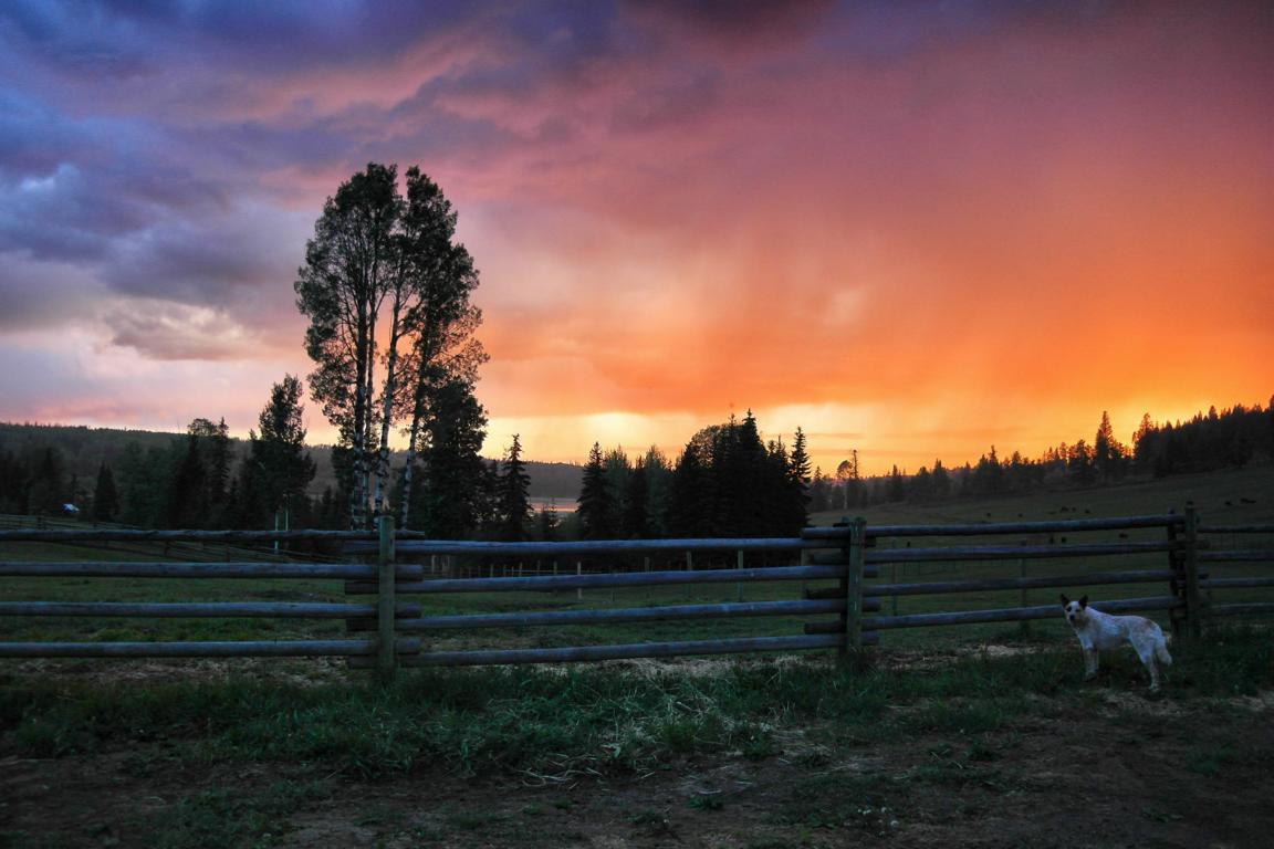 Ranchurlaub in Kanadas Cowboy Country