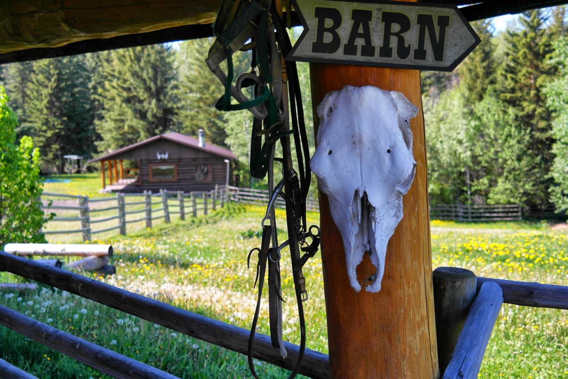 Ranchurlaub in Kanadas Cowboy Country
