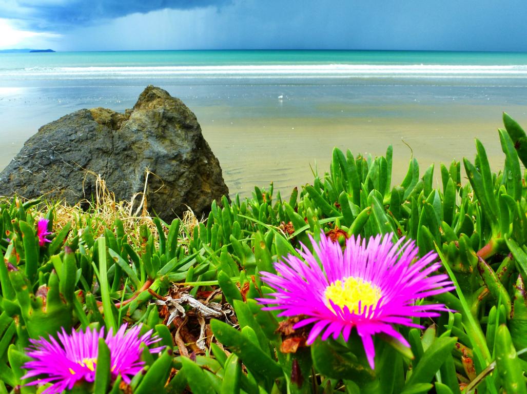 Neuseeland Highlights Diese Orte und Abenteuer darfst Du nicht verpassen!