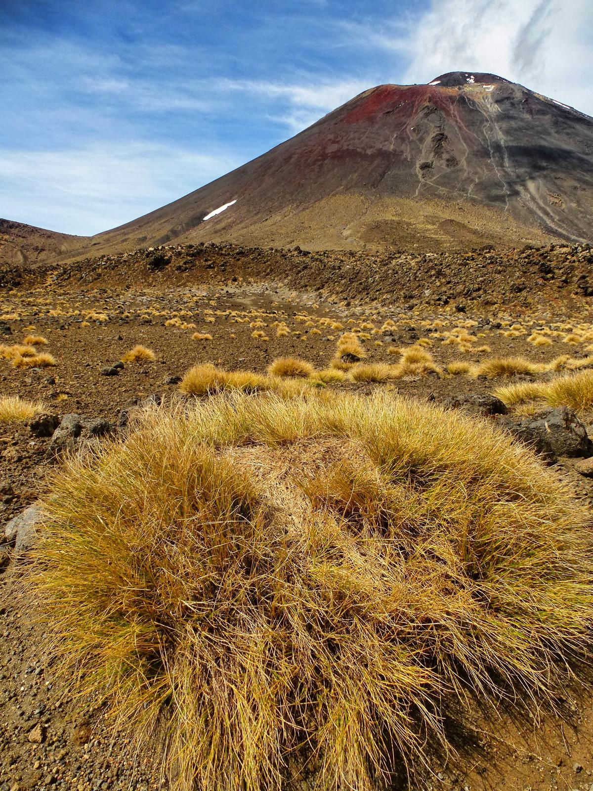Neuseeland Highlights Diese Orte und Abenteuer darfst Du nicht verpassen!