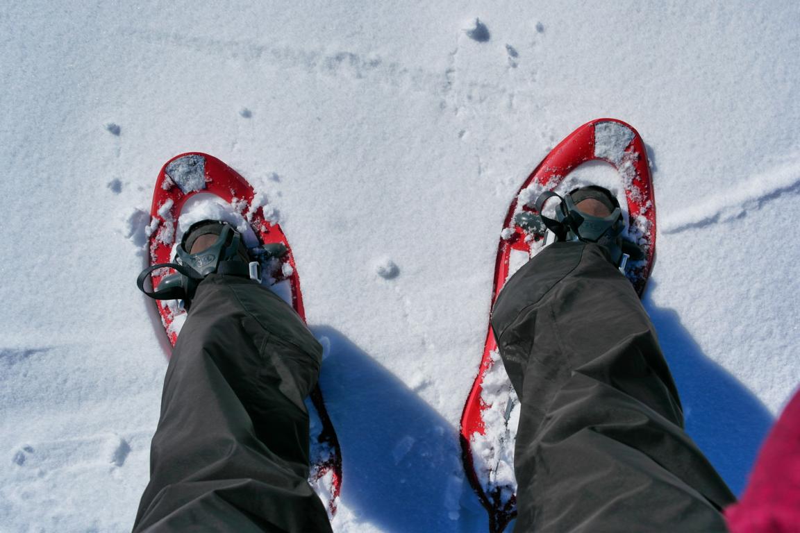 Schneeschuhwandern in Tirol 