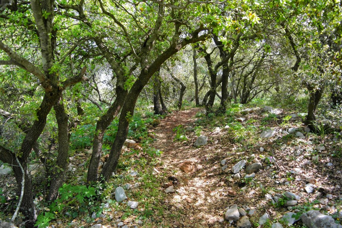 Besondere Unterkünfte in Jordanien - Ajloun