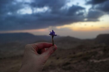 Besondere Unterkünfte in Jordanien - Al Nawatef