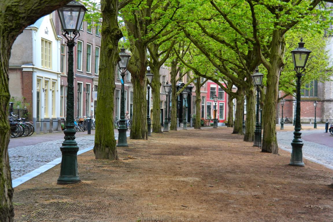 Urlaubstipps für Noordwijk aan Zee im Frühling