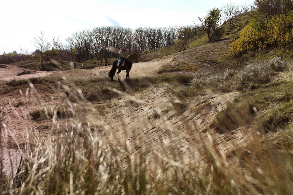 Urlaubstipps für Noordwijk aan Zee im Frühling 