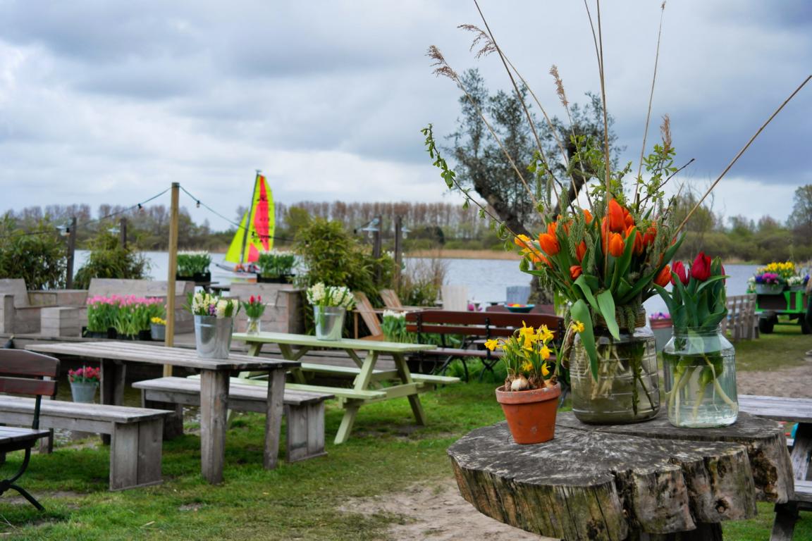 Urlaubstipps für Noordwijk aan Zee im Frühling