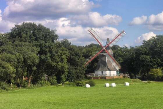 Auf Zeitreise im Teufelsmoor Tipps für den perfekten Tag in Worpswede