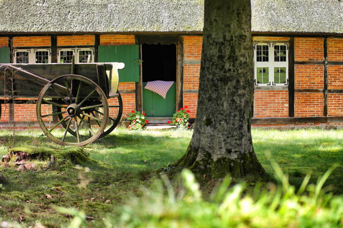 Deutschlands schönste Heide-Wanderung Der Heidschnuckenweg in der Lüneburger Heide