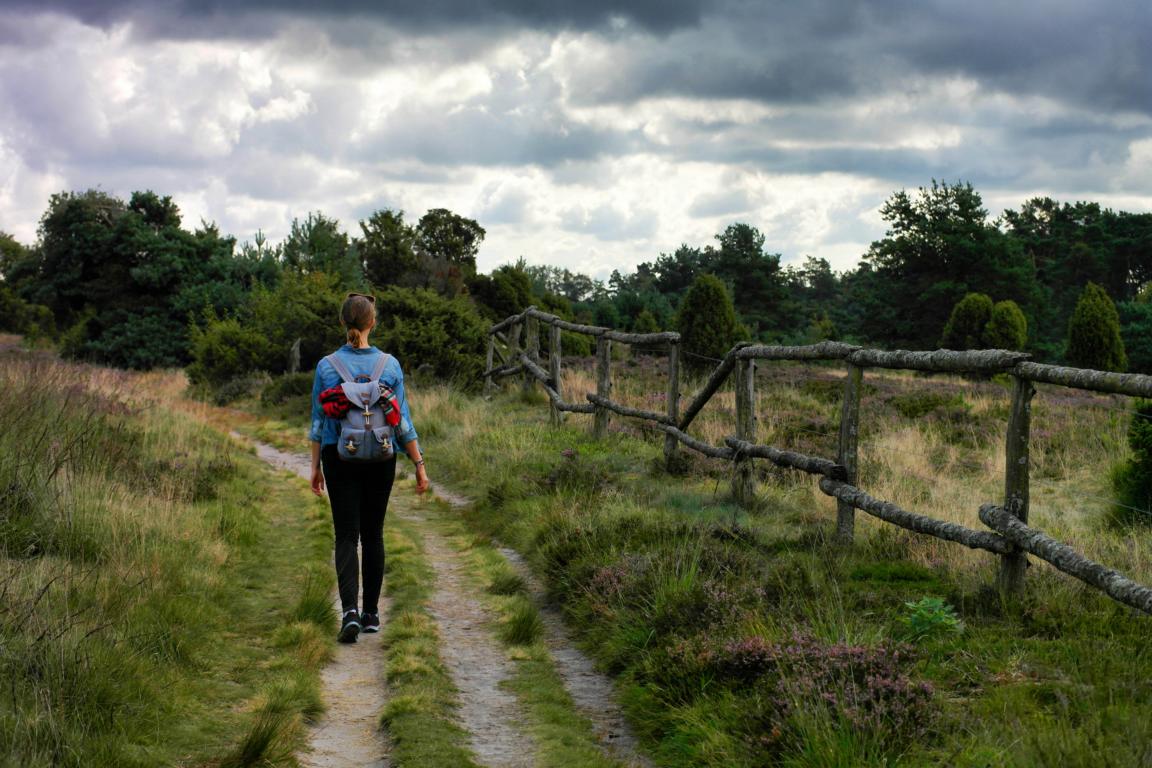 Deutschlands schönste Heide-Wanderung Der Heidschnuckenweg in der Lüneburger Heide 