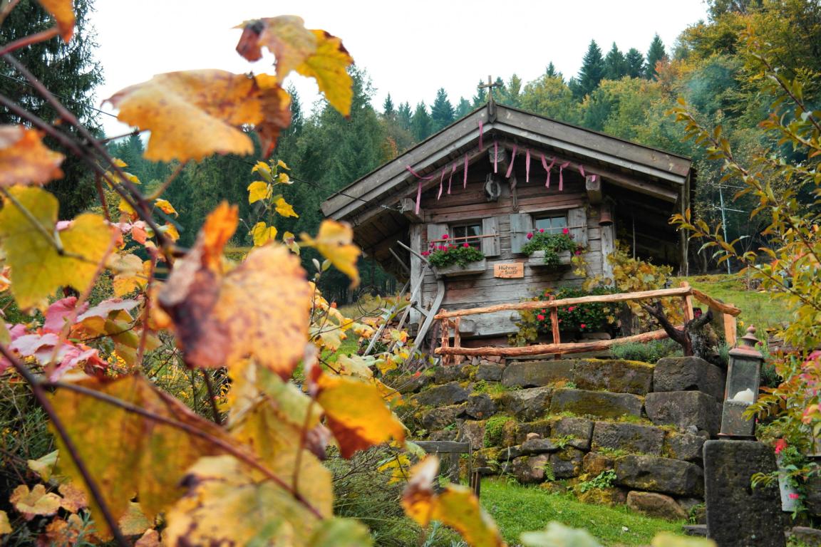 Schwarzwald wie anno dazumal - Bader Almhütte 