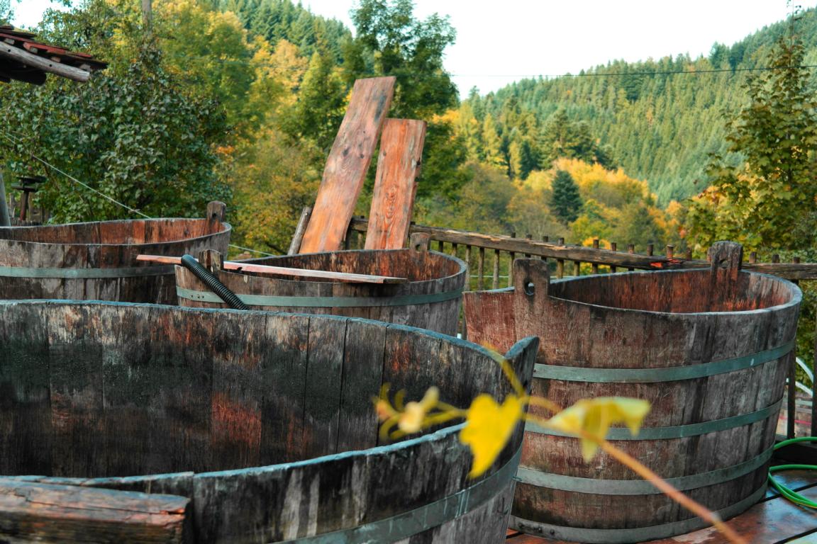 Schwarzwald wie anno dazumal - Bader Almhütte 