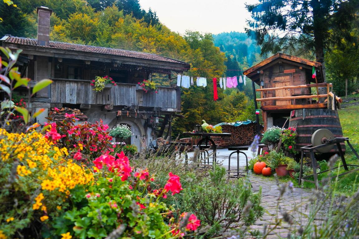 Schwarzwald wie anno dazumal - Bader Almhütte 