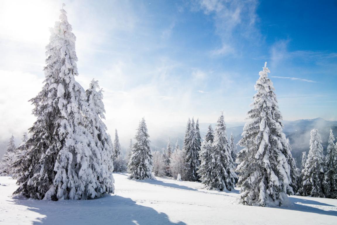 Das perfekte Adventswochenende in Baden-Württemberg 