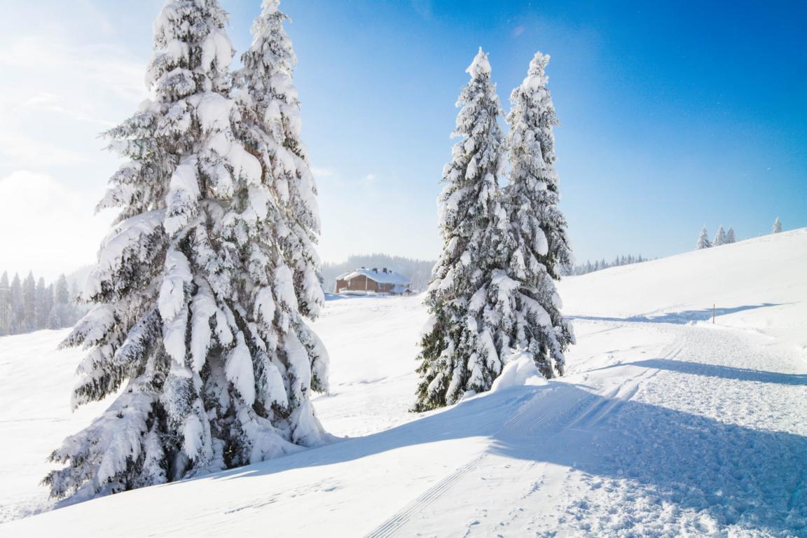 Das perfekte Adventswochenende in Baden-Württemberg 