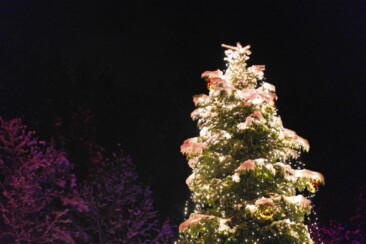 Das perfekte Adventswochenende in Baden-Württemberg