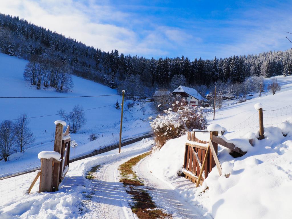 Das perfekte Adventswochenende in Baden-Württemberg