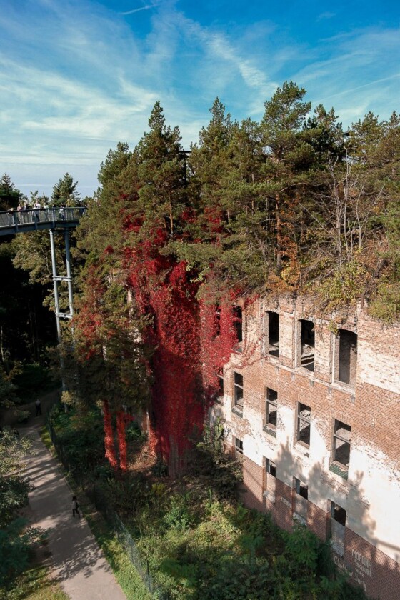 Das perfekte Wochenende im Fläming - Beelitz Heilstätten