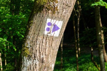 Aktivurlaub in Luxemburg