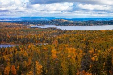 Indian Summer in Lappland - Aktivurlaub im herbstlichen Lappland - Konttainen Hill