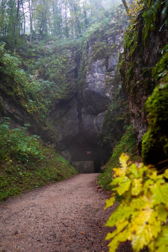 Wanderparadies Grüner Karst: Ausflugsziele & Tipps für Sloweniens Süden