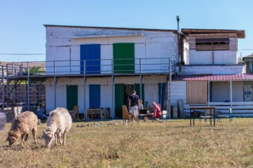 Armenien & Georgien Roadtrip Route, Reisevorbereitung und Tipps - Oasis Club Udabno