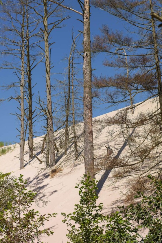 Slowinski Nationalpark