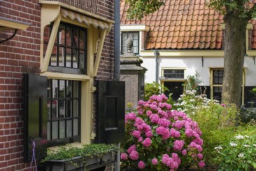 Haarlemmer Hofjes