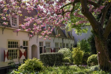 Haarlemmer Hofjes