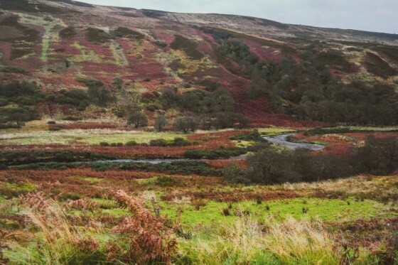 Isle of Arran