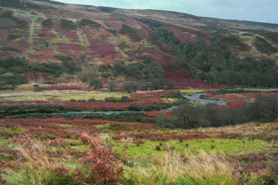 Isle of Arran