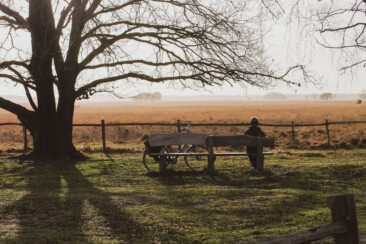 Nationalpark Dwingerveld