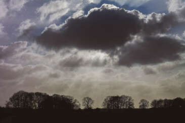Nationalpark Dwingerveld