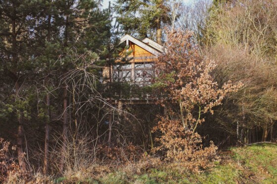Baumhaus in Drenthe