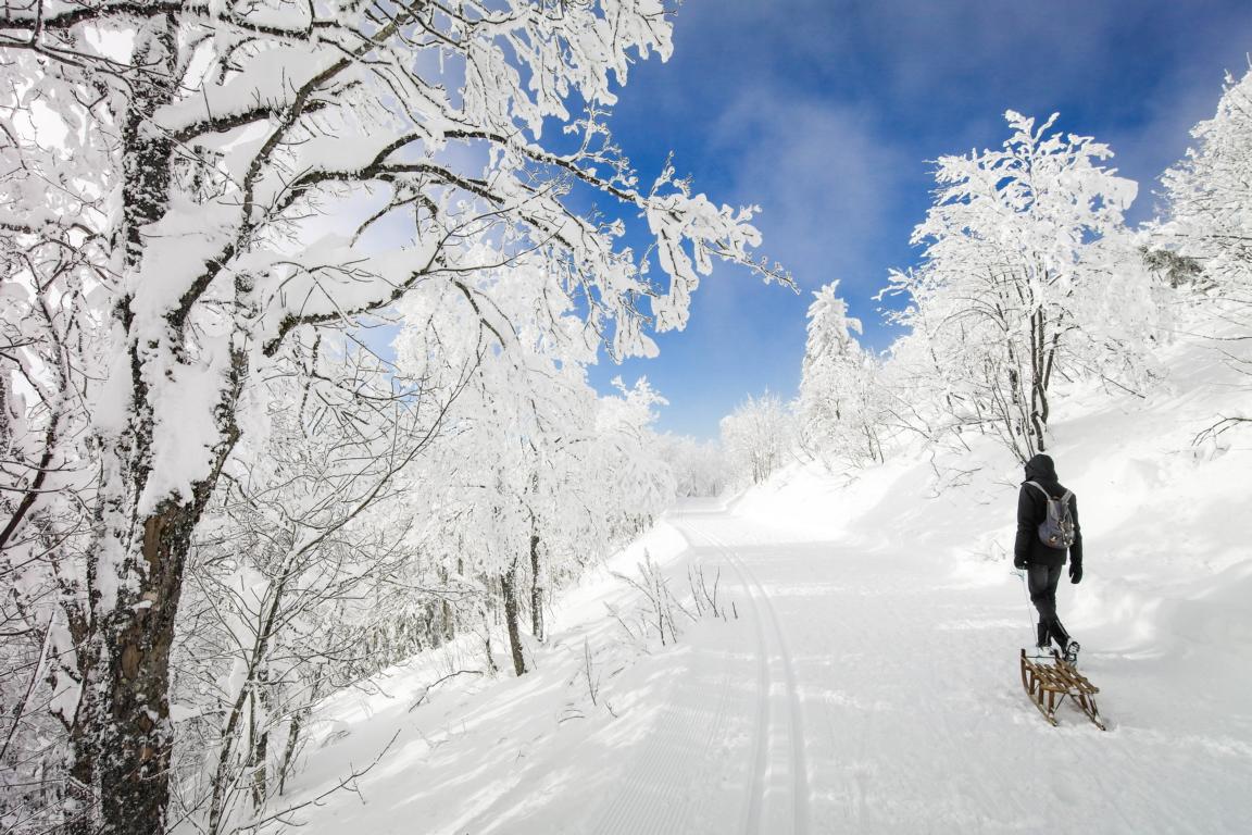 Winterwandern auf dem Feldberg