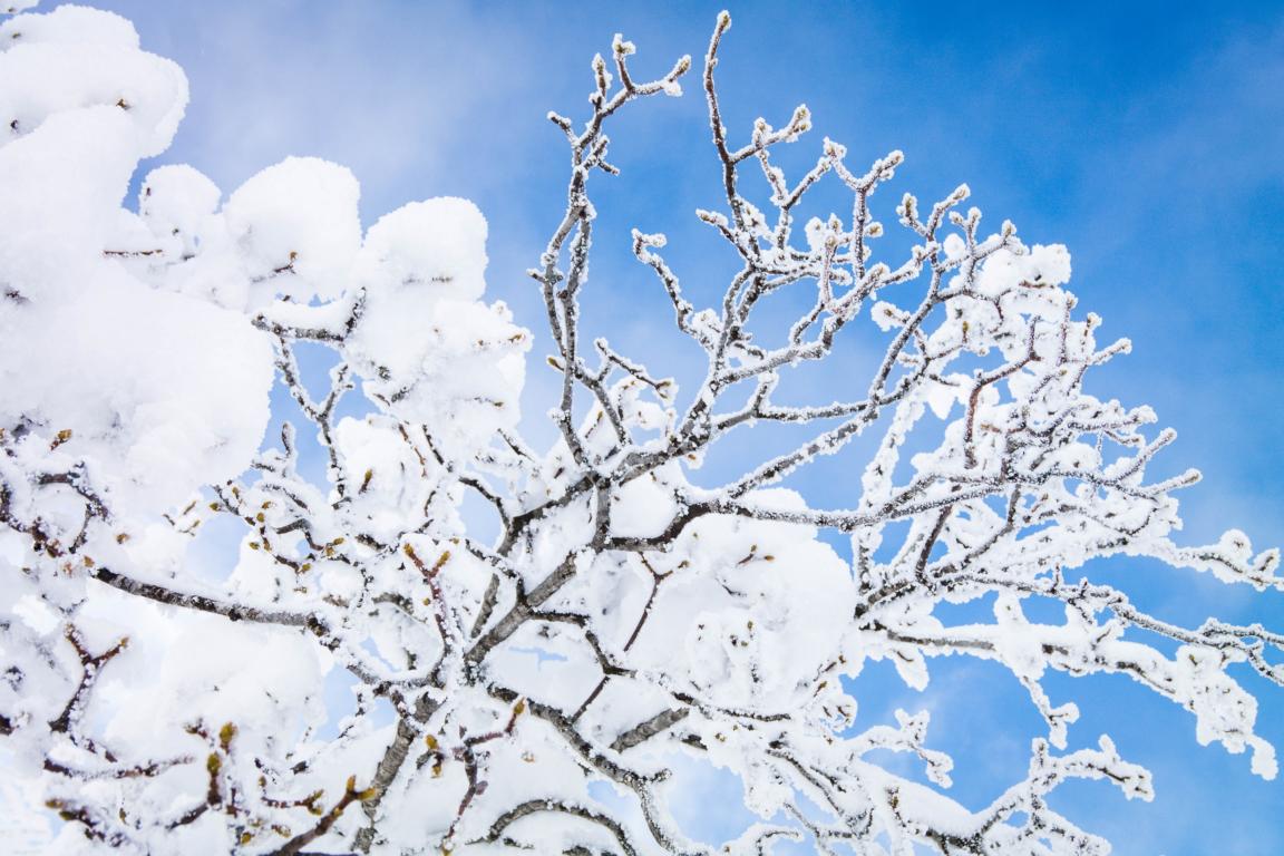 Winterwandern auf dem Feldberg