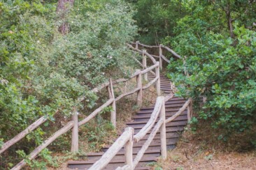 Nordholländisches Dünenreservat