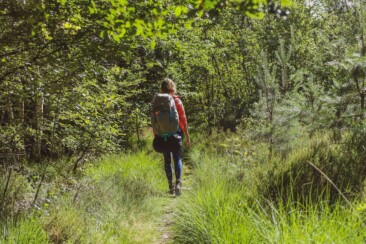 Cabiner in Drenthe