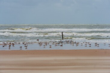 Schoorl aan Zee