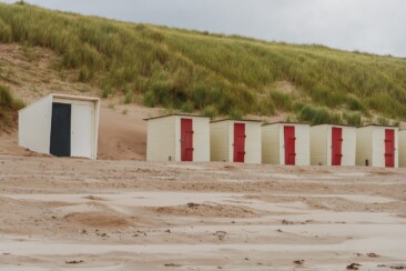 Die abwechslungsreichste Heidewanderung in Holland